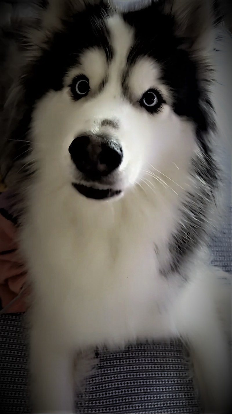"Who?! ME??"