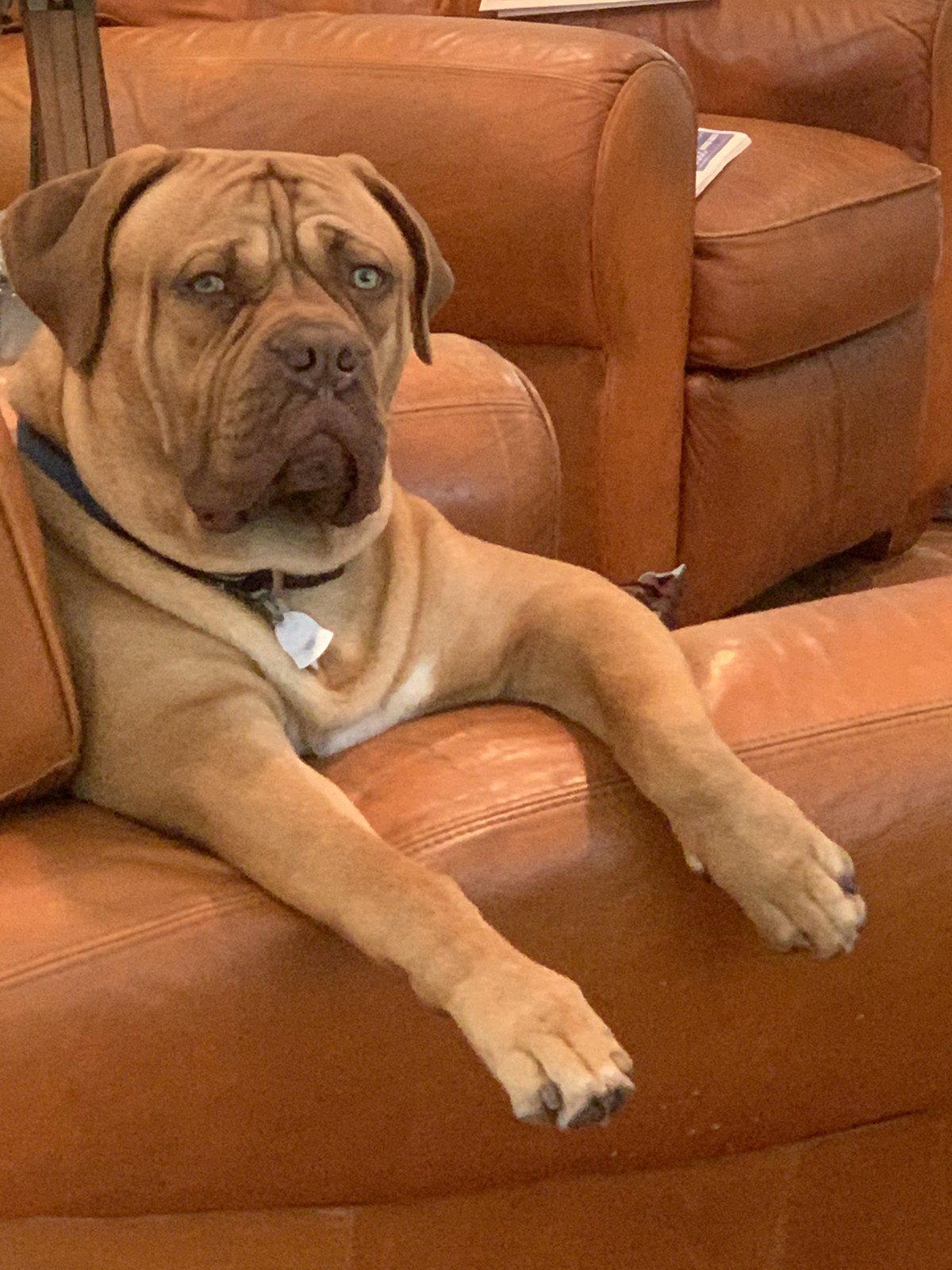Best Seat In The House
