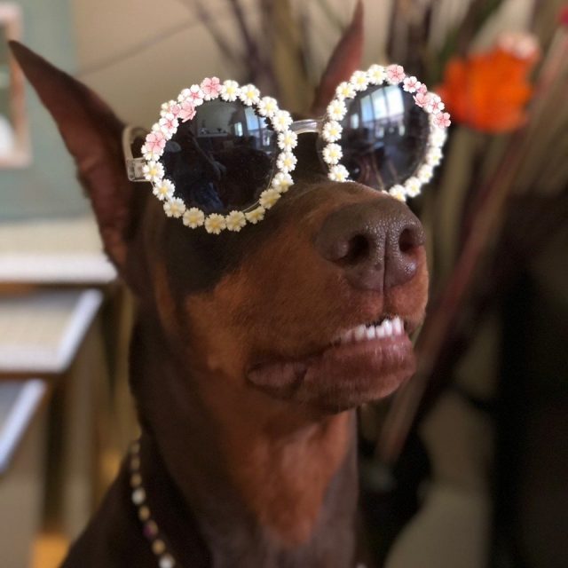 Just One Of The Cool Kids