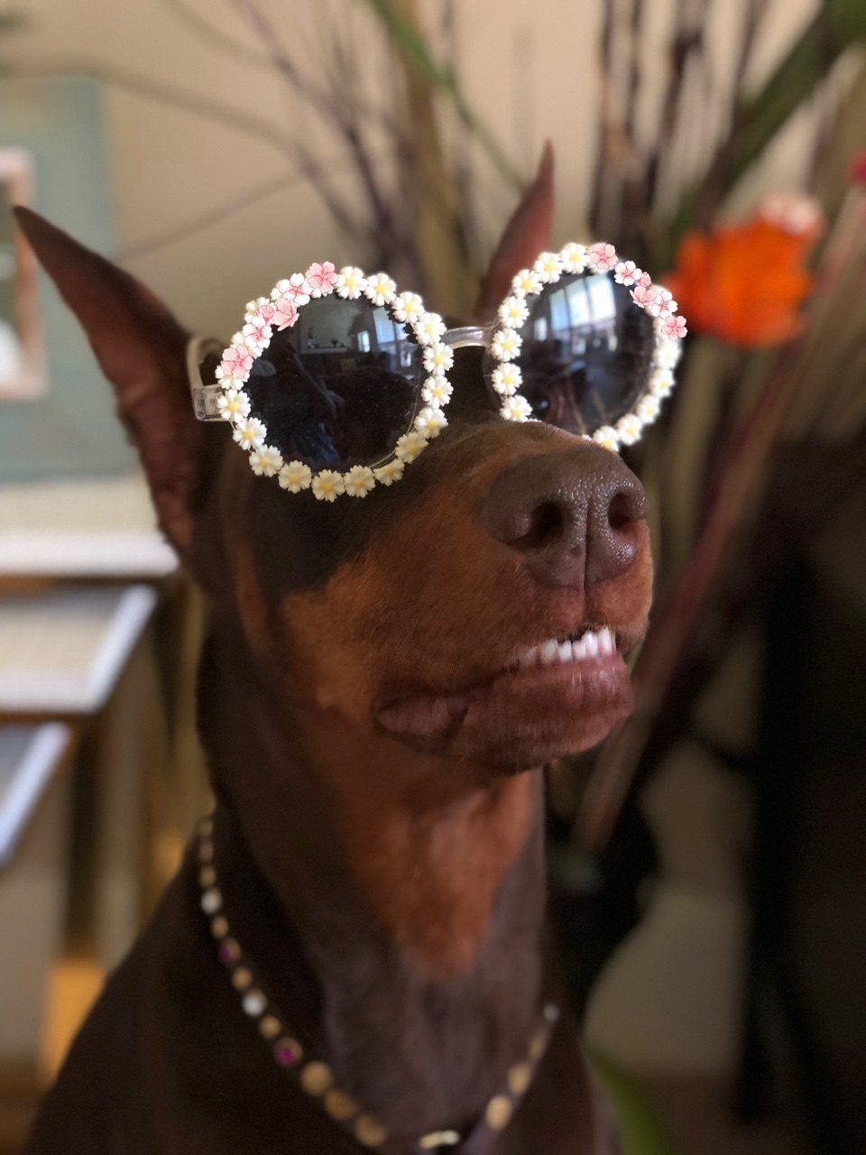 Just One Of The Cool Kids