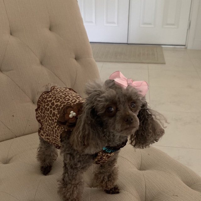 Coco