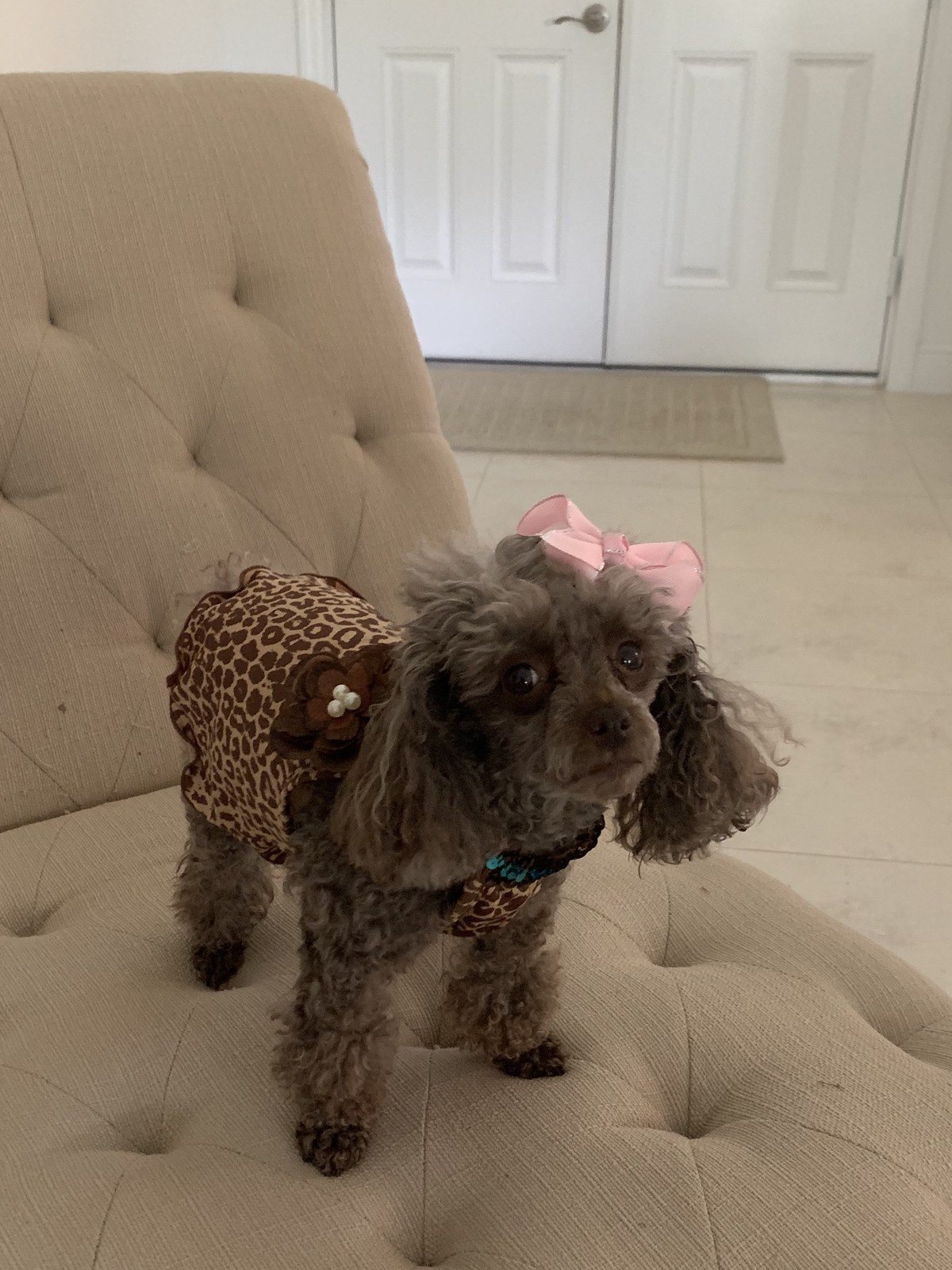 Coco