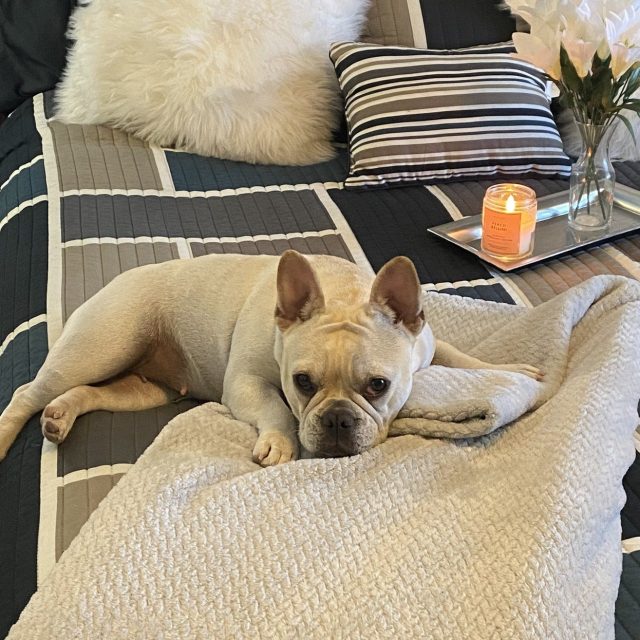 Lazy Day