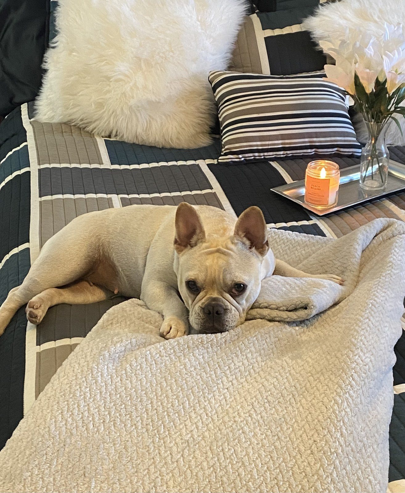 Lazy Day