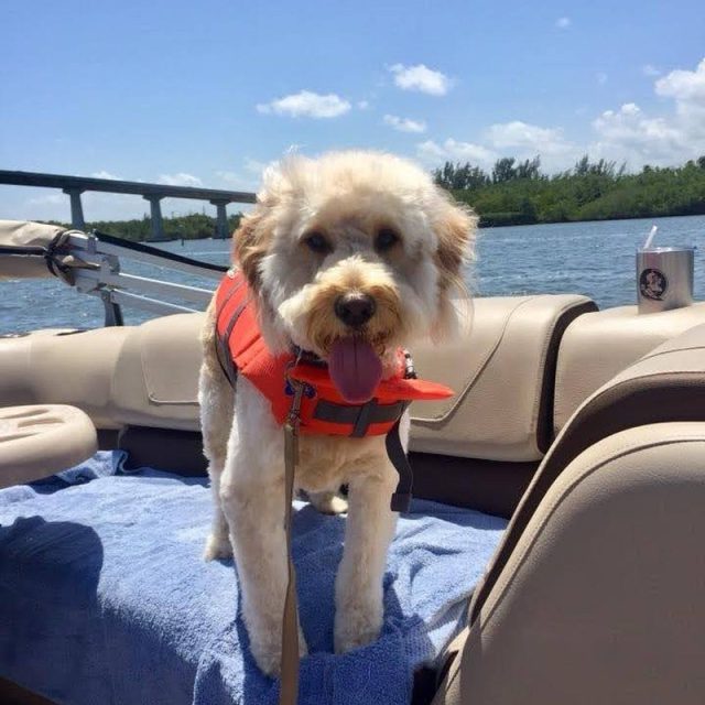 Happy Boating