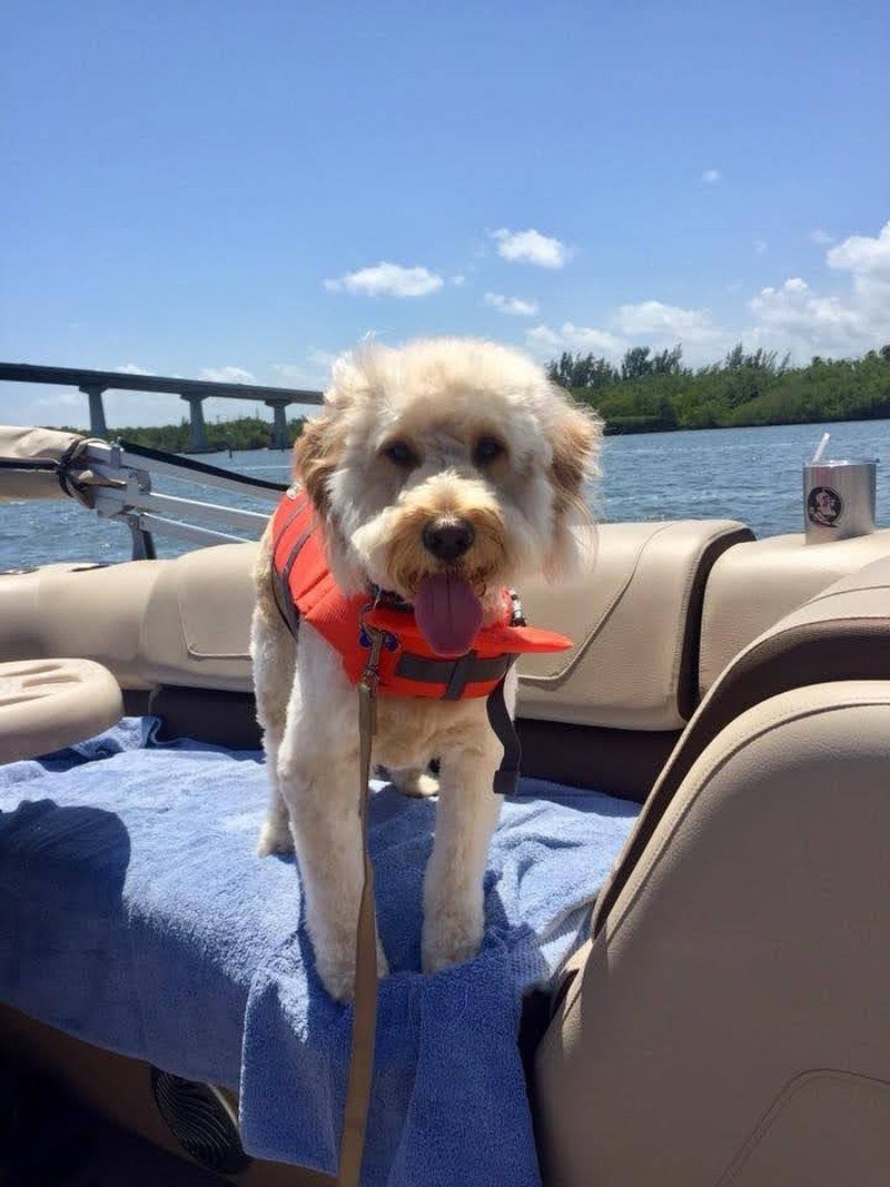 Happy Boating
