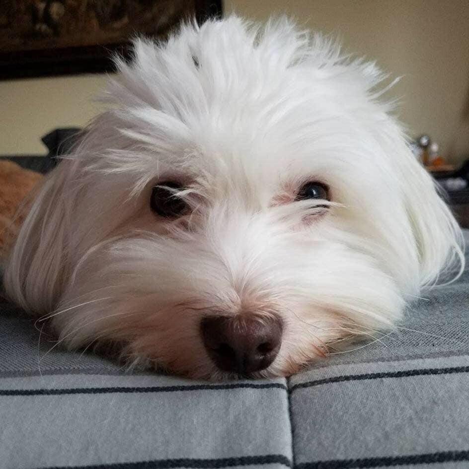 Bailey