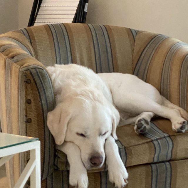 Long Day At The Office
