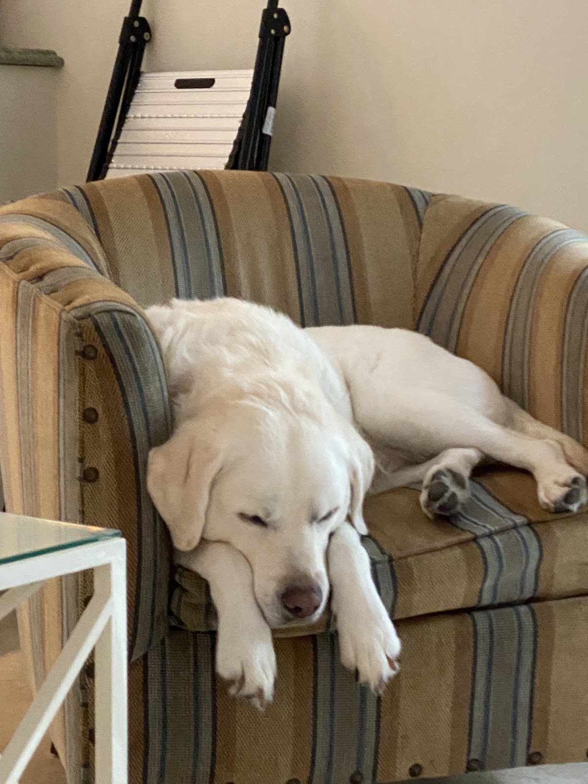 Long Day At The Office