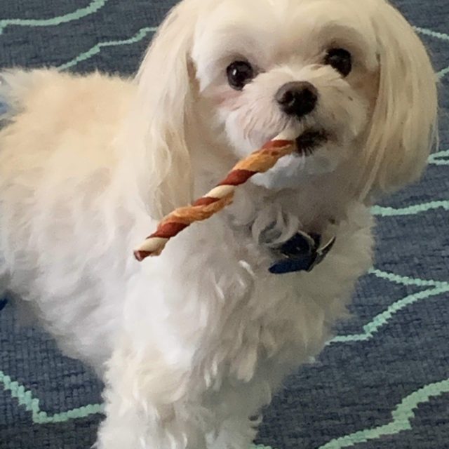 I Love My Treats….