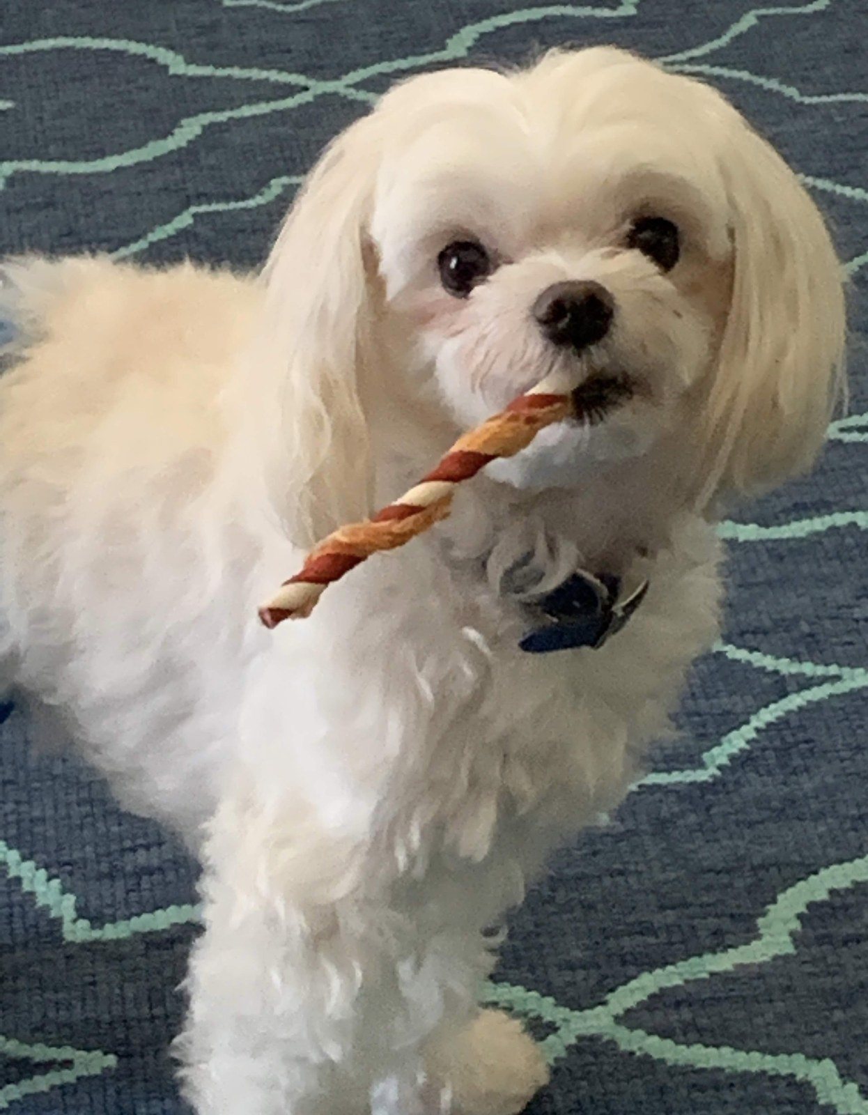 I Love My Treats….