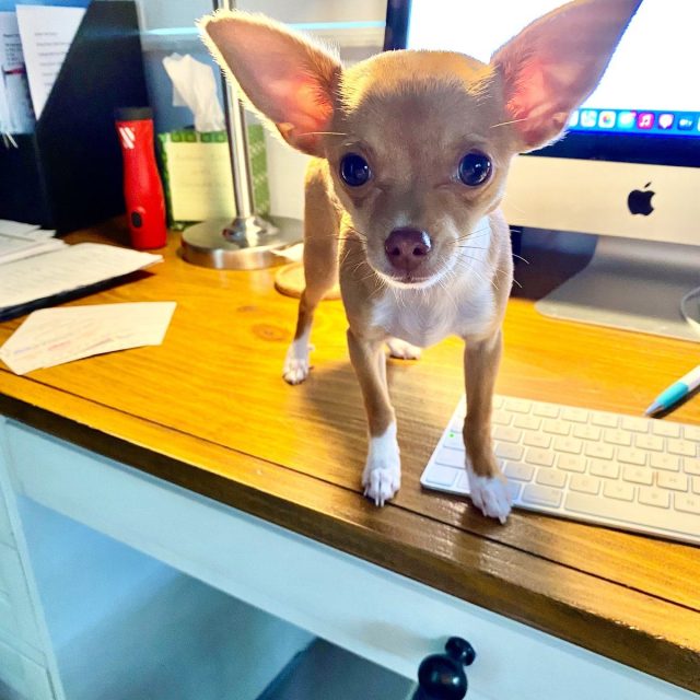 You Lookin At Me?!!!