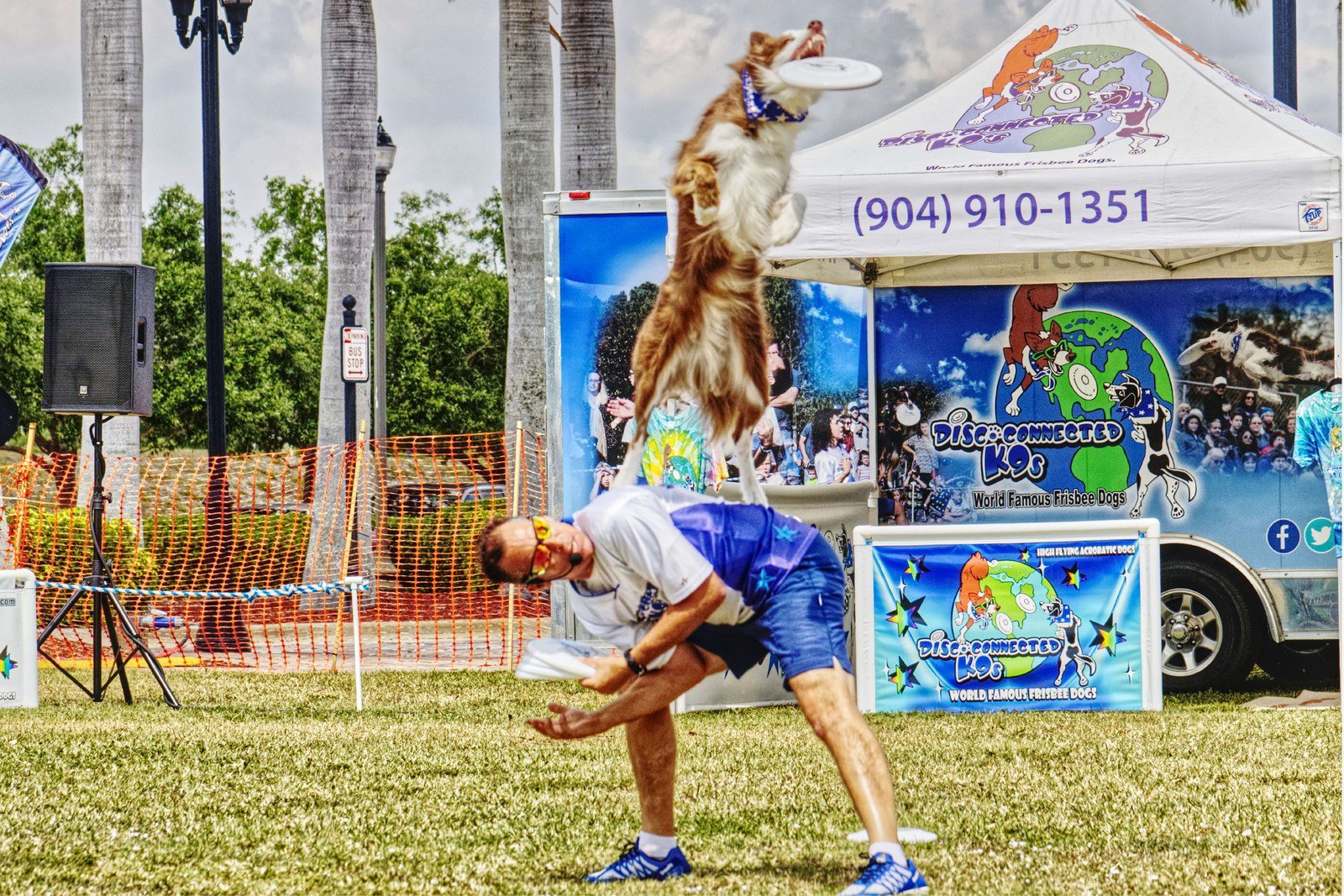 Frizbee Dog Jump