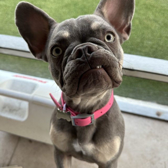 Are You Talking To Me?