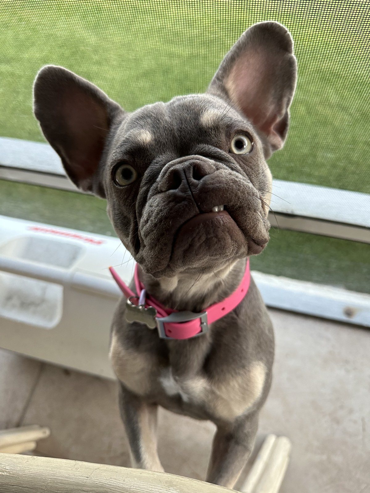 Are You Talking To Me?