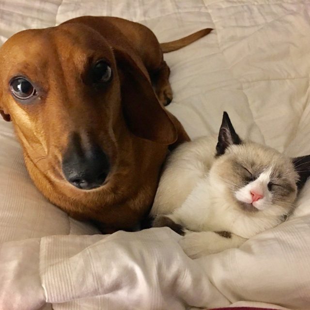 Best Friends