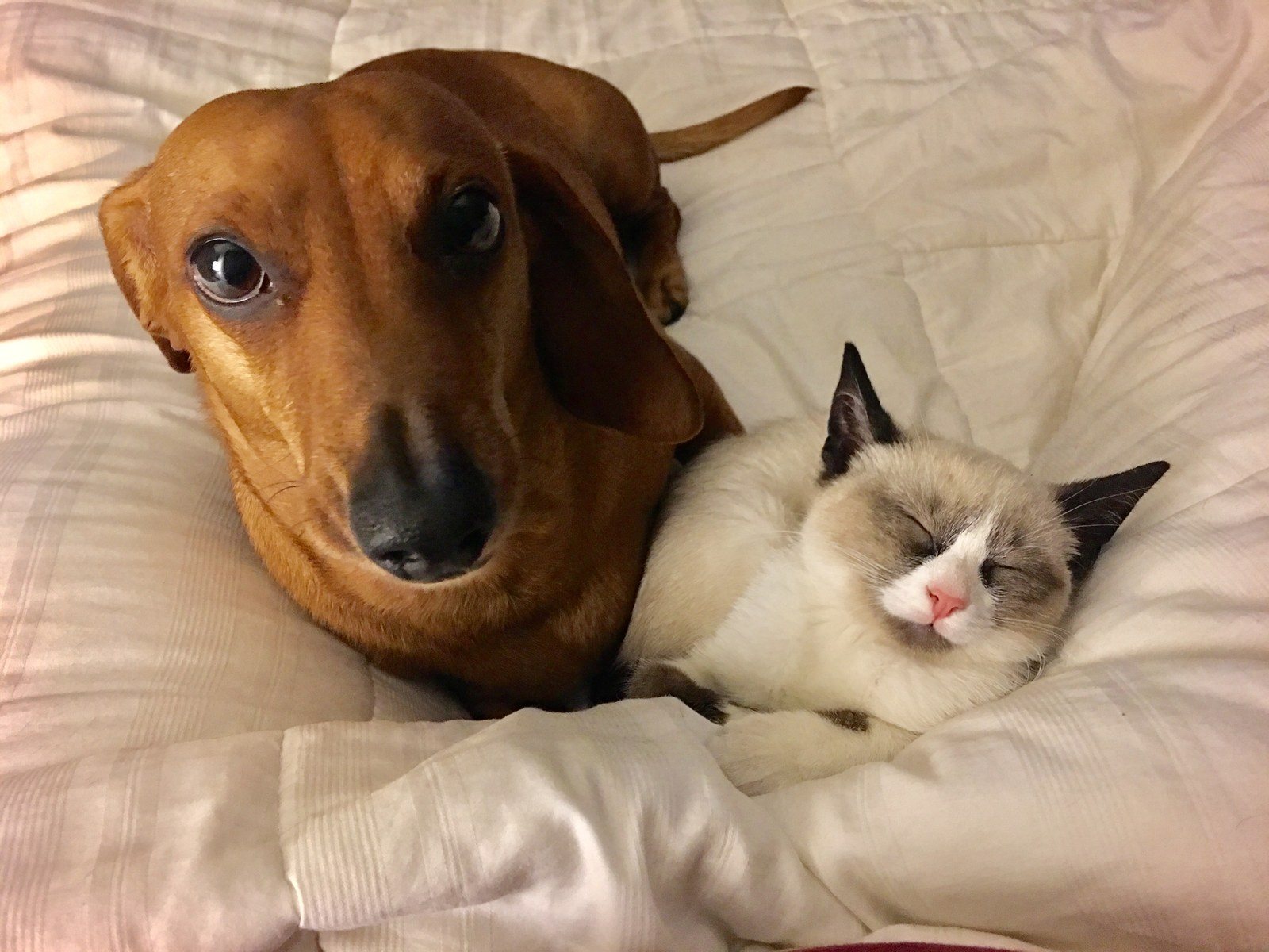 Best Friends
