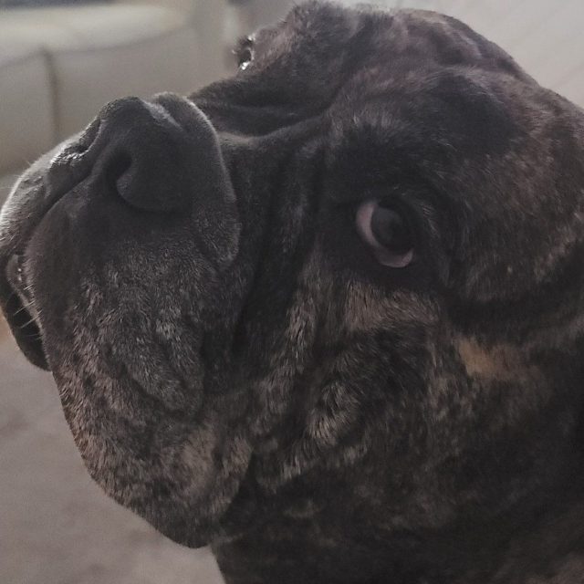 You Talking To Me?