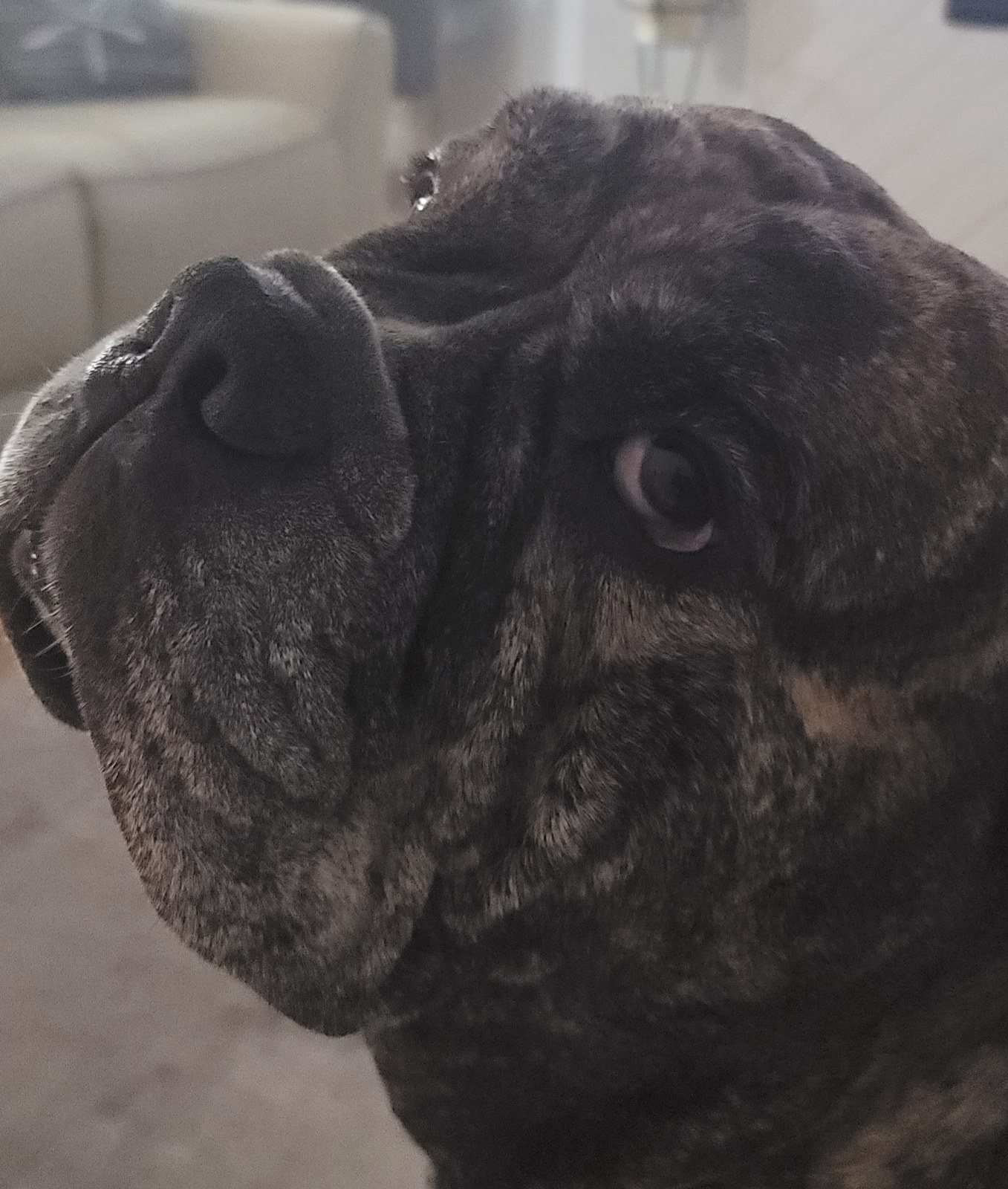 You Talking To Me?