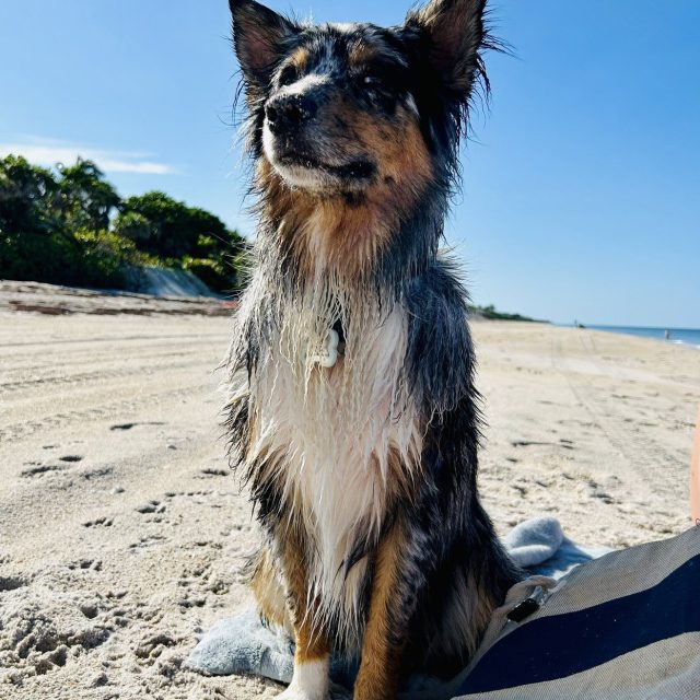 Mr River Rocks Beachin It