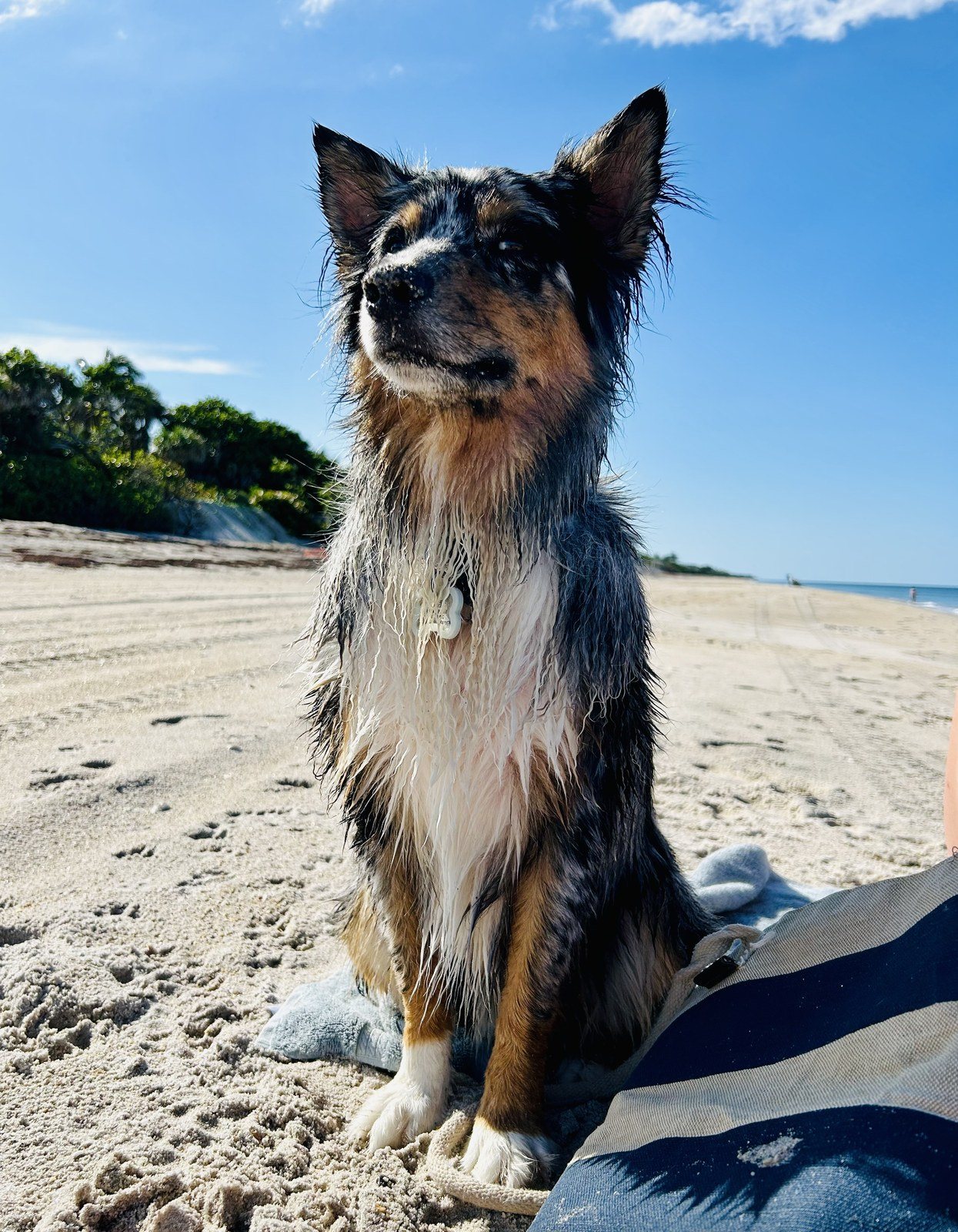 Mr River Rocks Beachin It