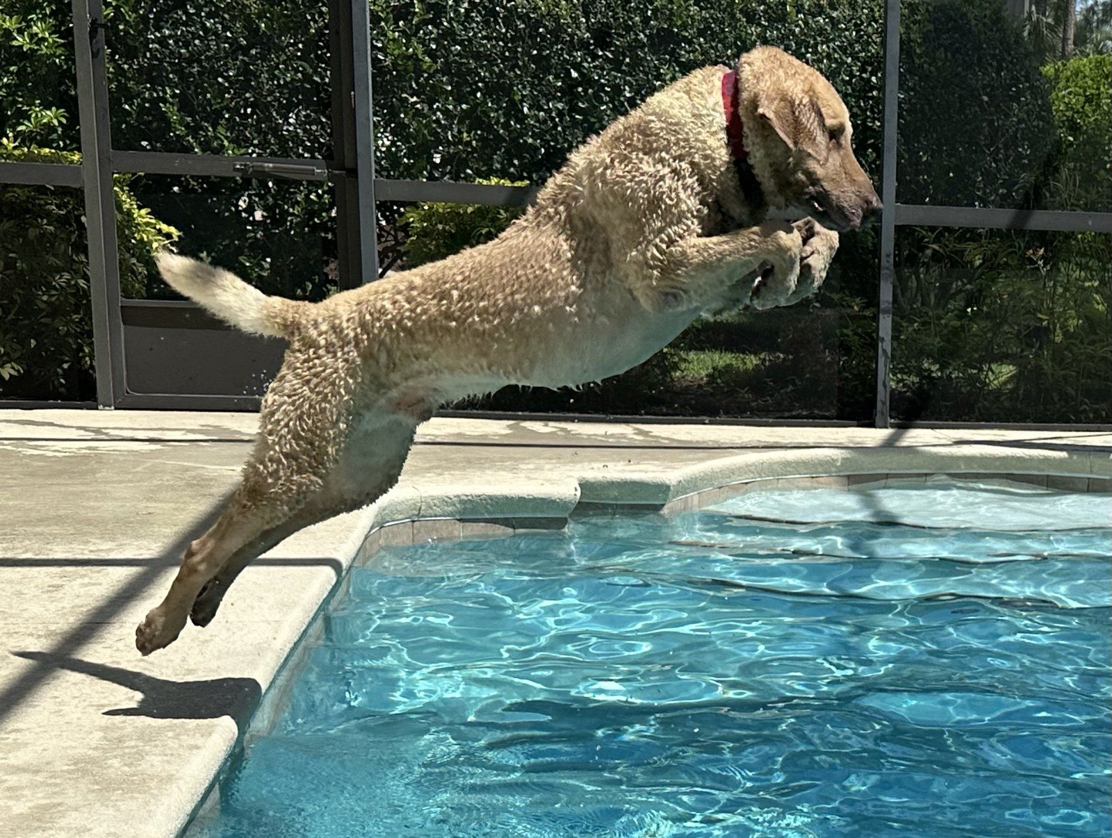 Chesapeake- Ridge Dives In!