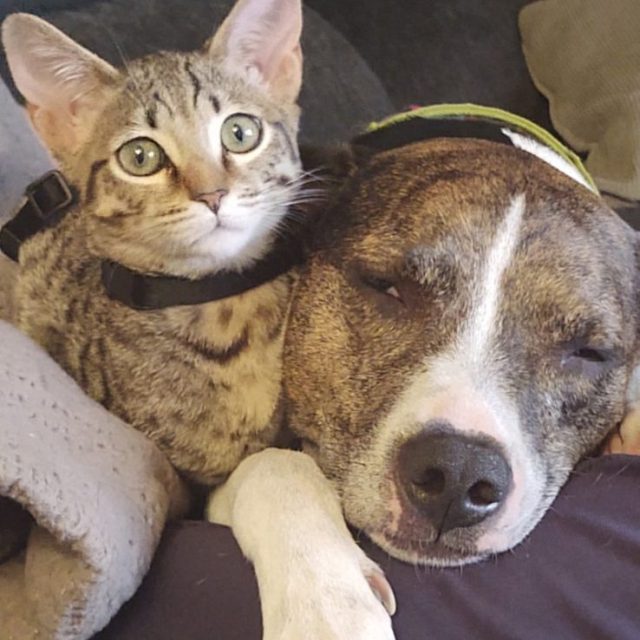 Can't We All Just Get Along