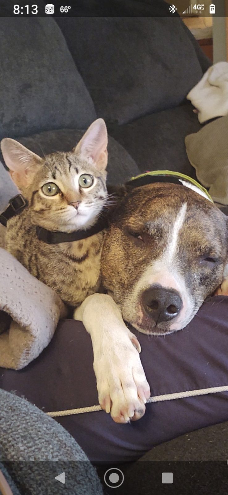 Can't We All Just Get Along