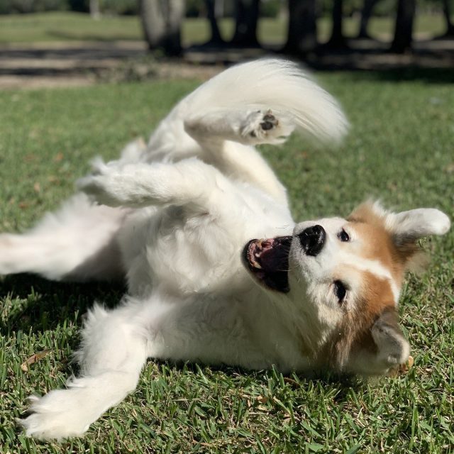 Just Having Fun!