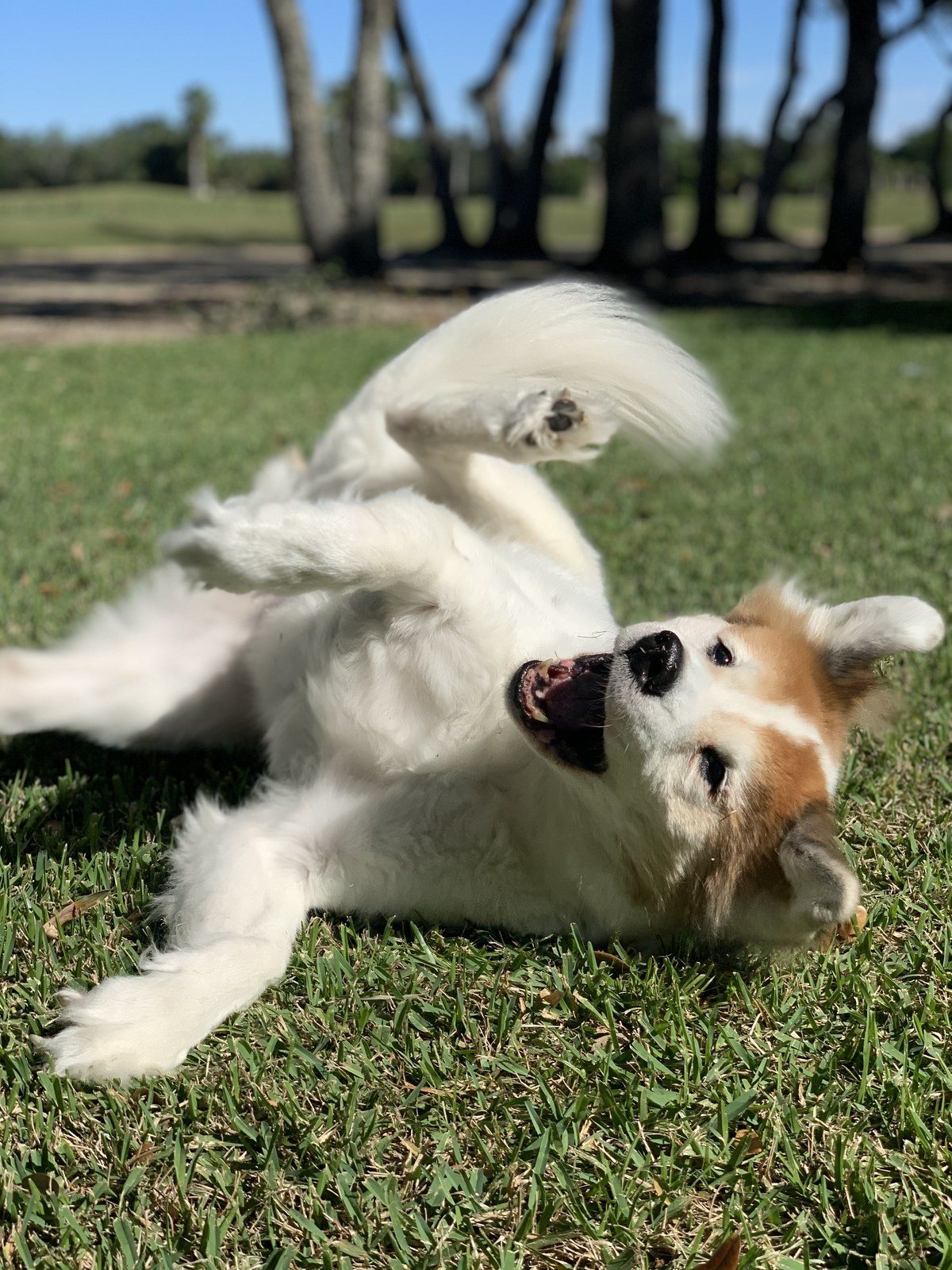 Just Having Fun!