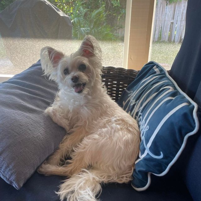 Just Lounging
