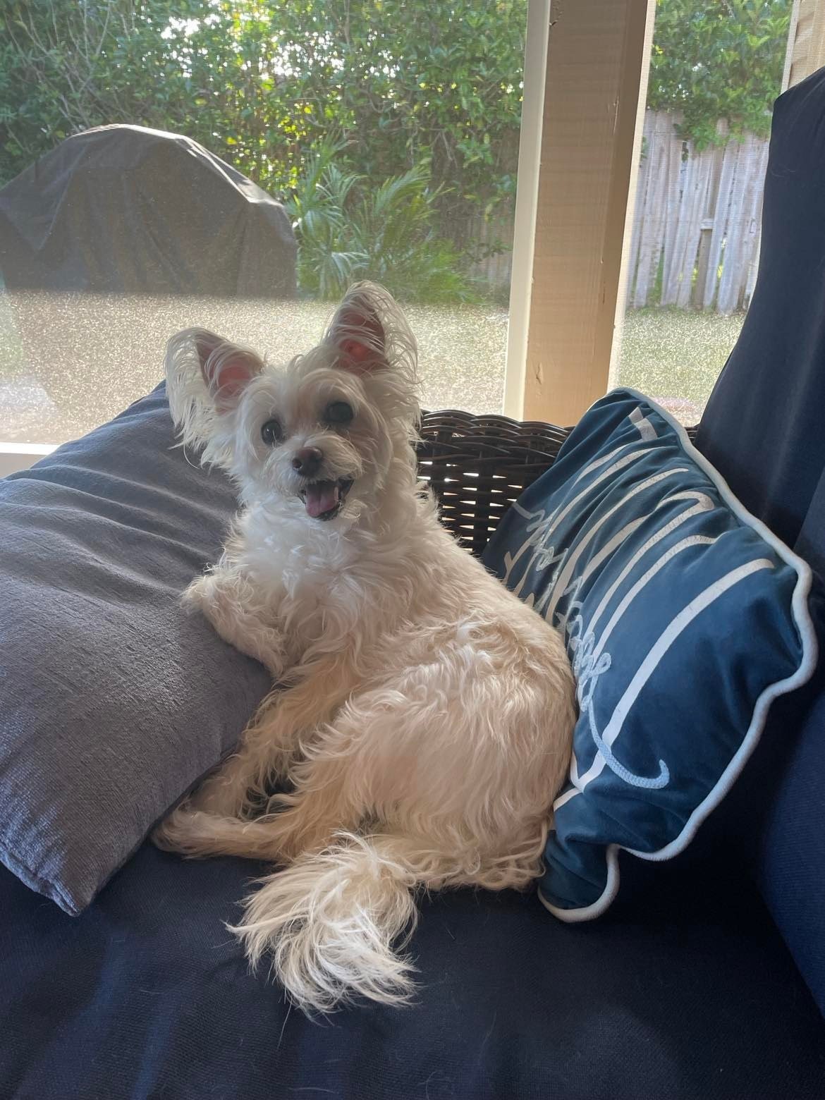 Just Lounging