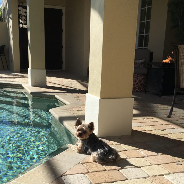 Basking In Vero