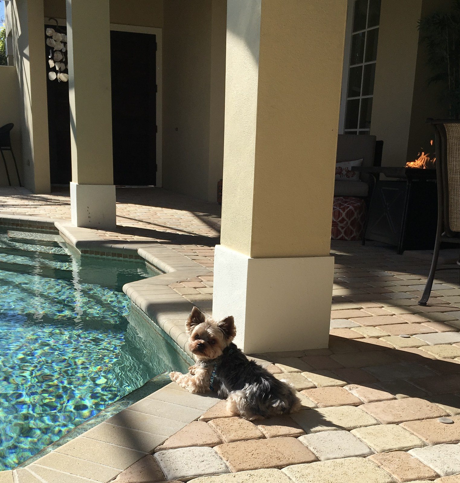 Basking In Vero