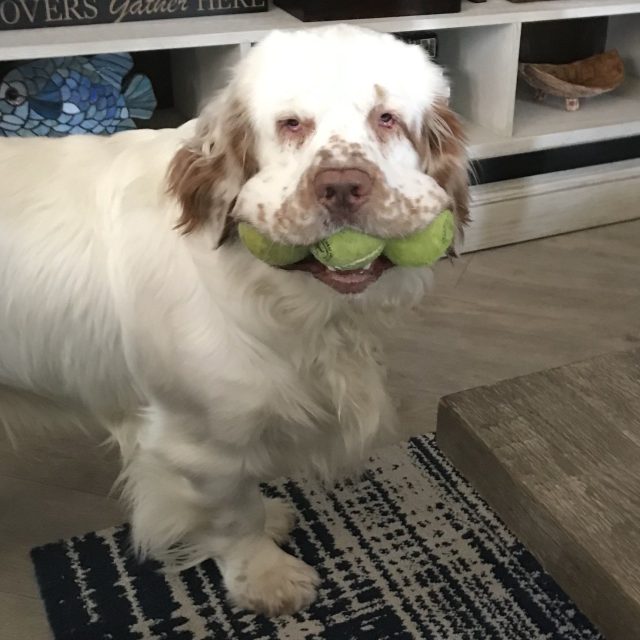 "Tennis Anyone?"