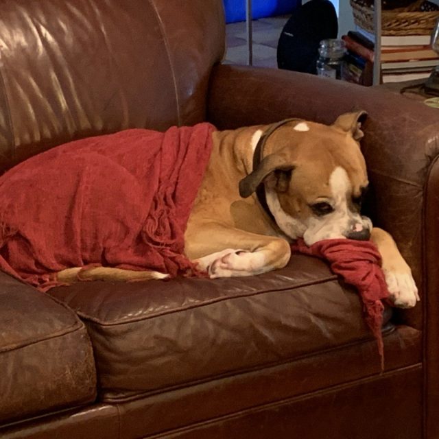 Snuggle Time