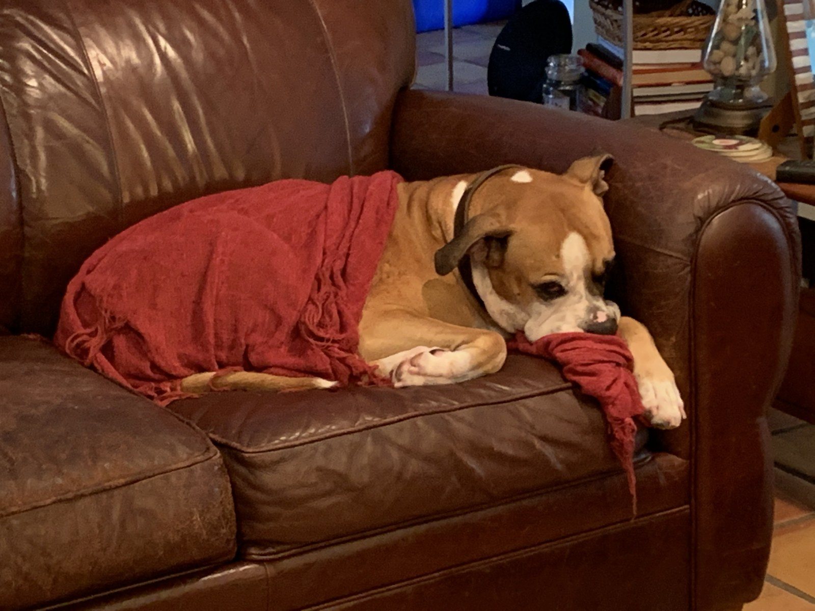 Snuggle Time