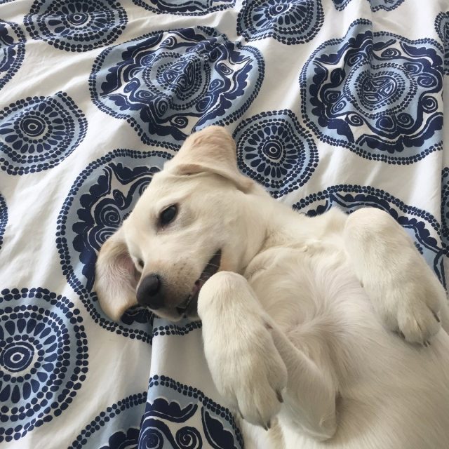 Just Hangin Out