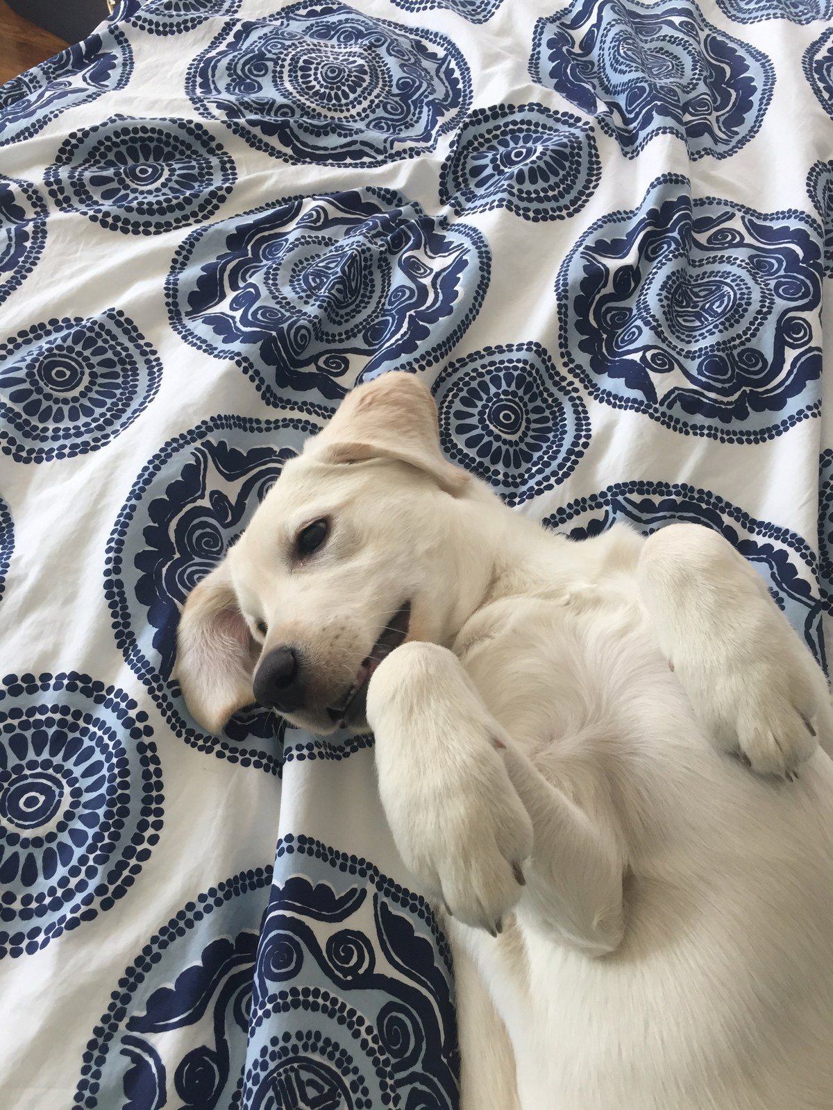Just Hangin Out