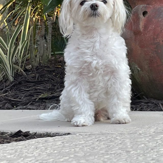 Can We Go Now ?