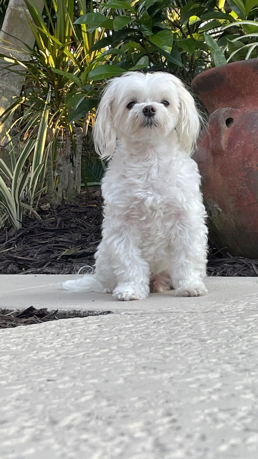 Can We Go Now ?