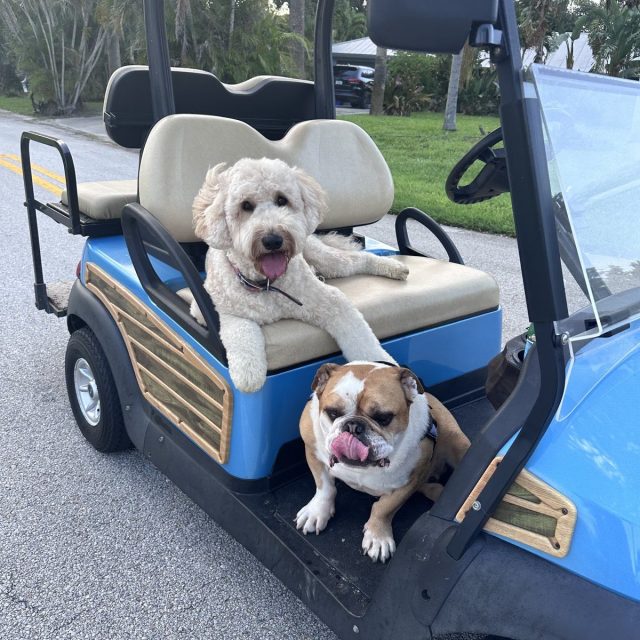 Friends Forever! Seven And Bentley