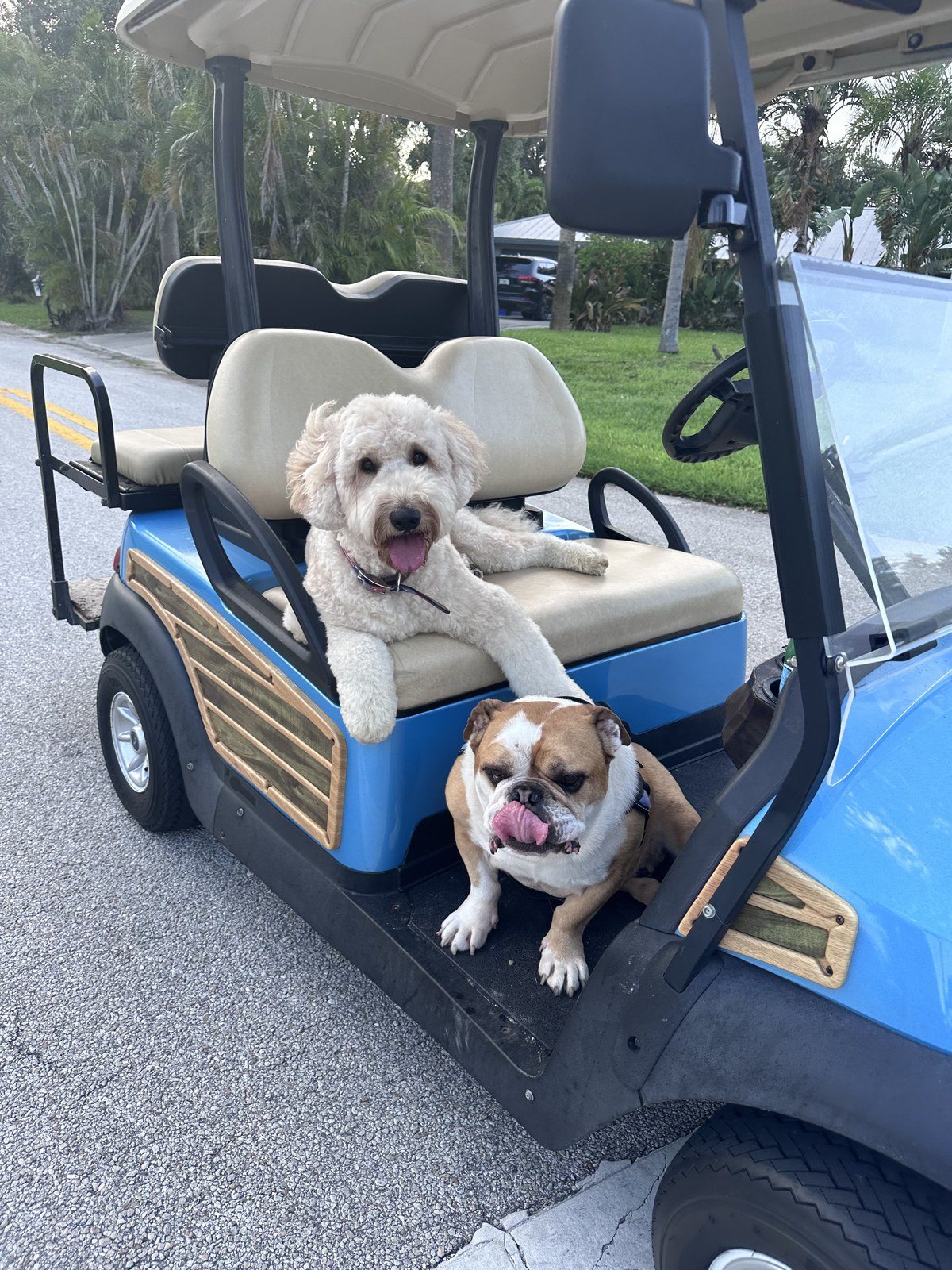 Friends Forever! Seven And Bentley