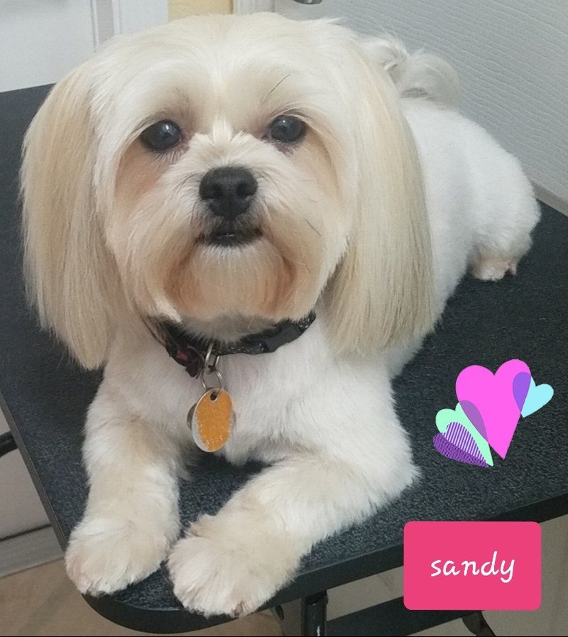 Loveable Sandygirl