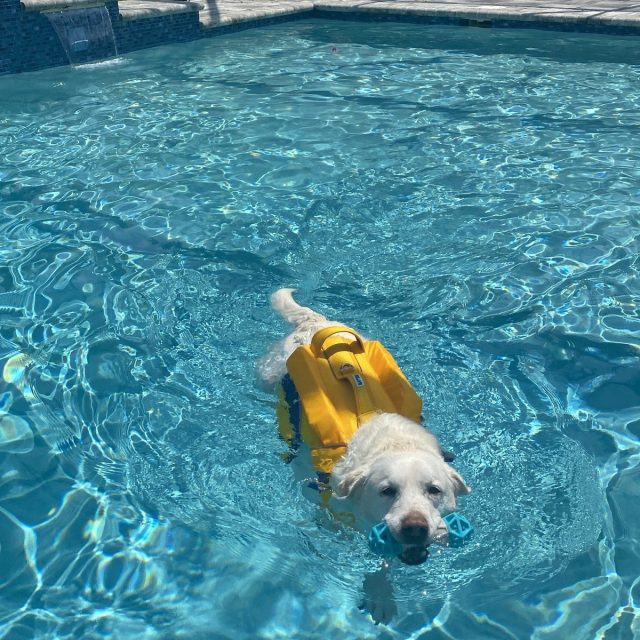 Sadie...do You Want To Go In The...POOL?!