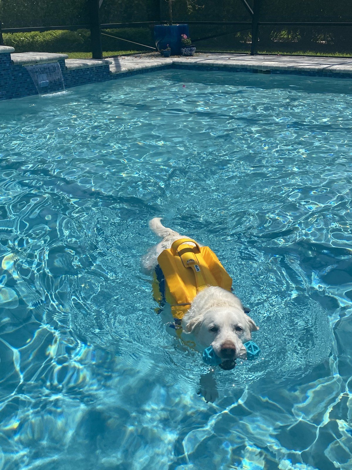 Sadie...do You Want To Go In The...POOL?!
