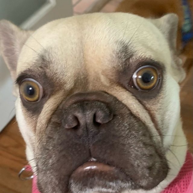 Sunday Scaries!!!