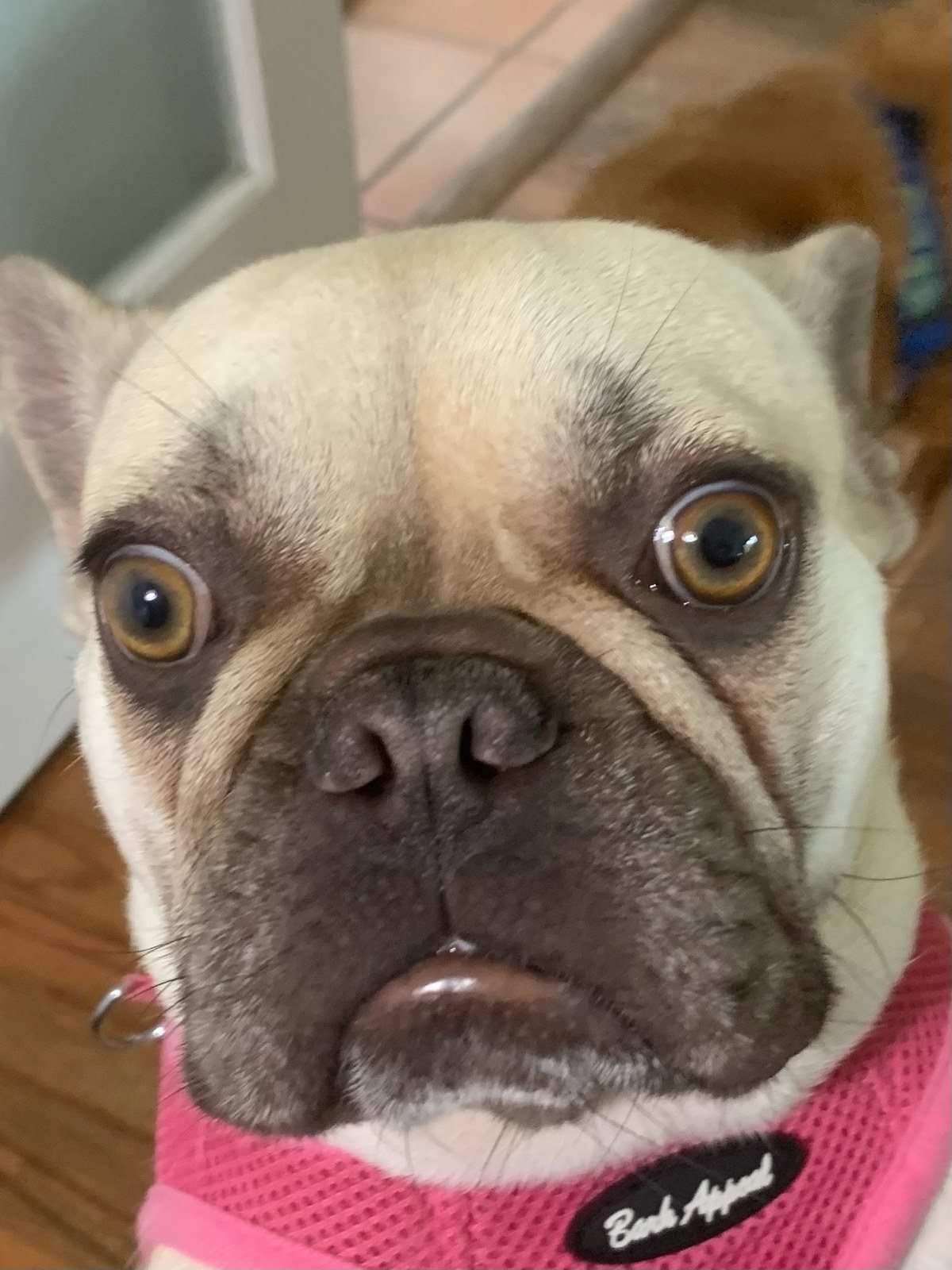 Sunday Scaries!!!