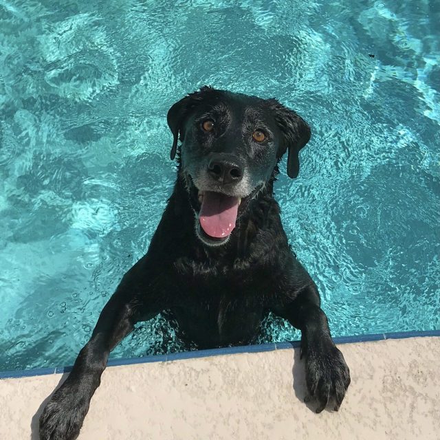 Vero Life Is Good