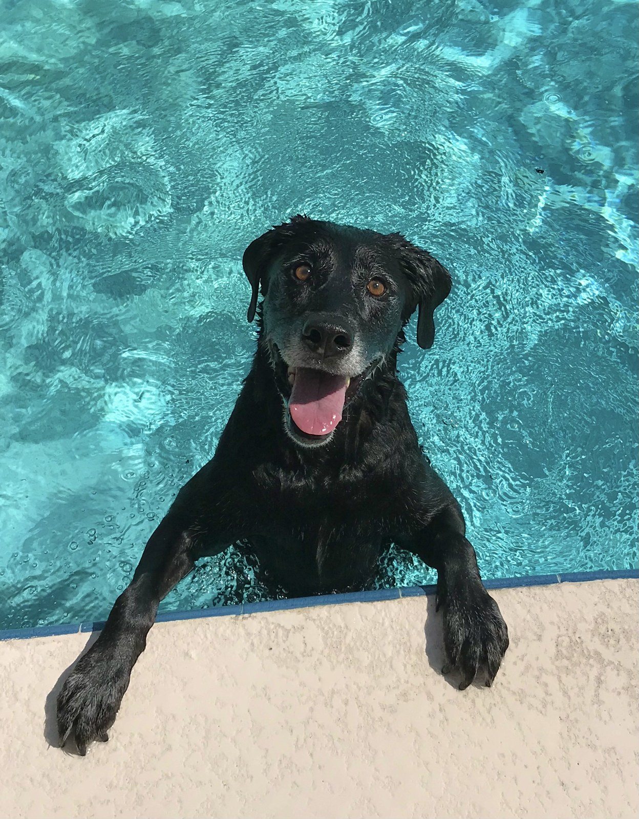 Vero Life Is Good